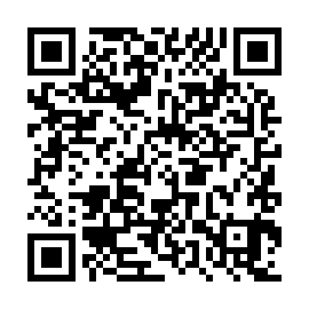 QR code for DUT981