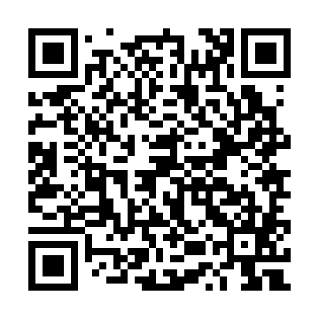 QR code for DUZ385