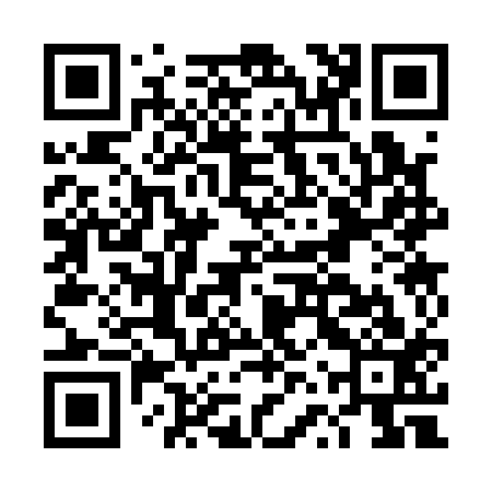 QR code for DVS113