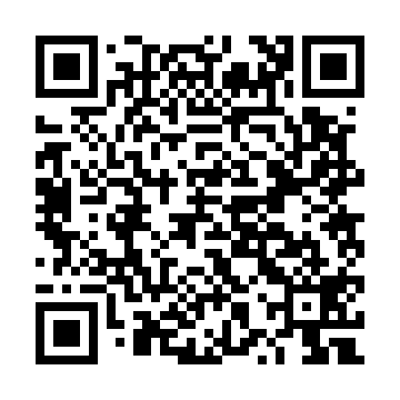 QR code for DXR519