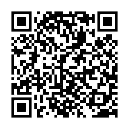 QR code for DYD499