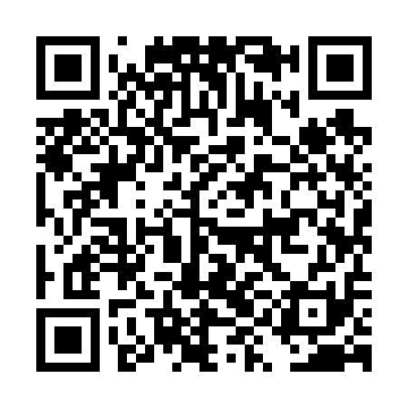QR code for DYI611
