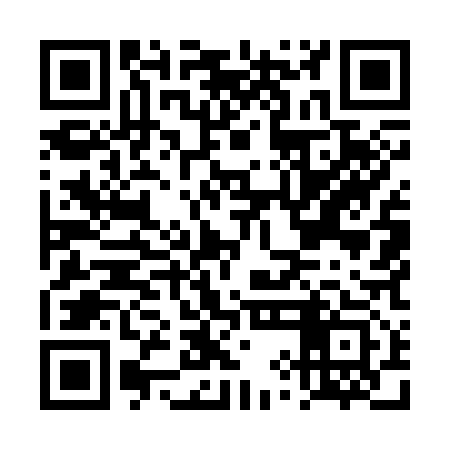 QR code for DYM313