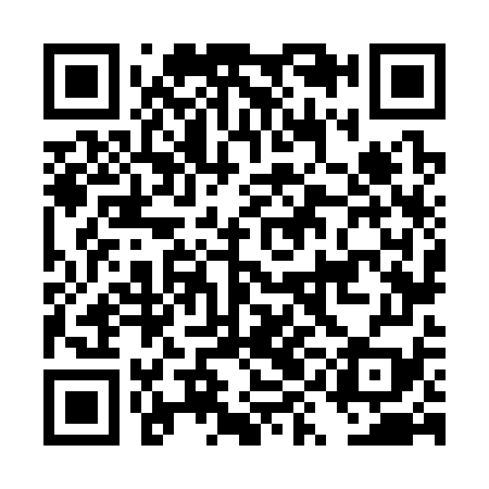 QR code for DYN379