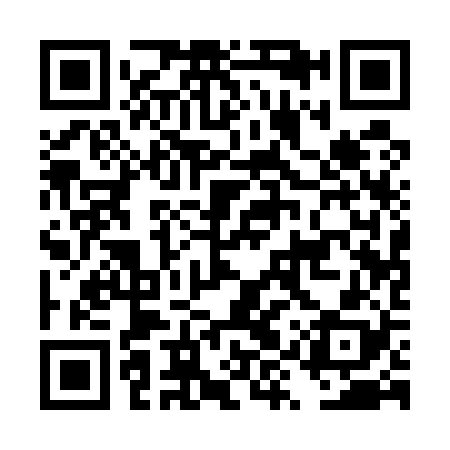 QR code for DYQ528