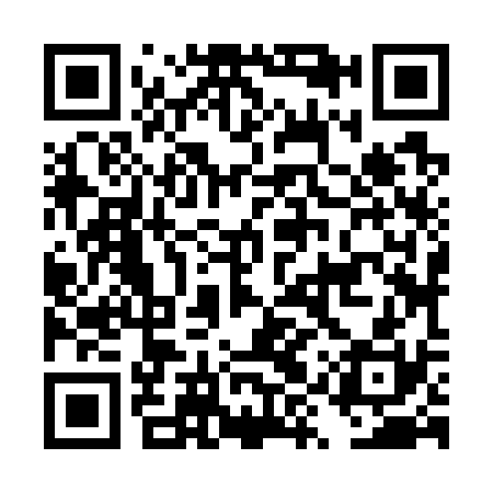 QR code for DYZ730