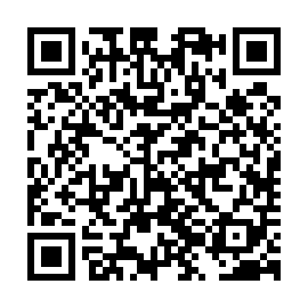 QR code for DZB509