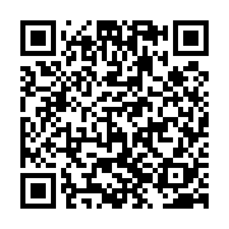 QR code for DZG528