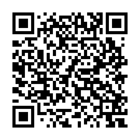 QR code for DZI302