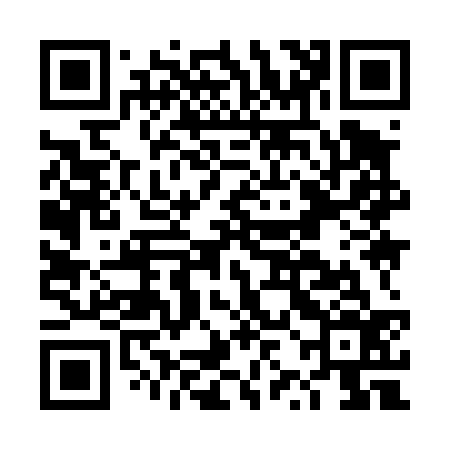 QR code for DZI436