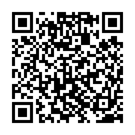 QR code for DZI613