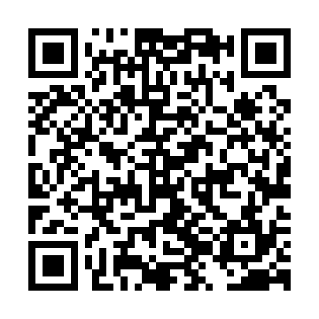 QR code for DZL134