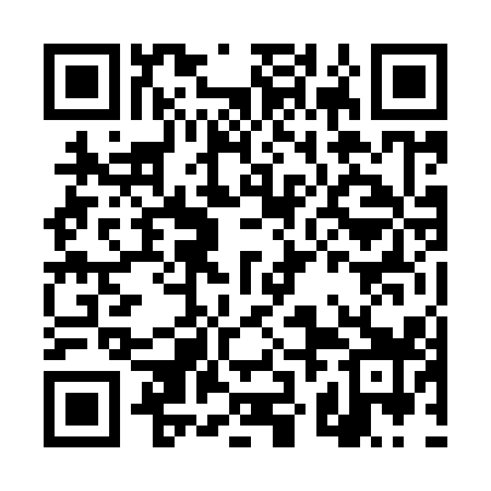 QR code for DZN919