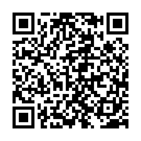 QR code for DZT161