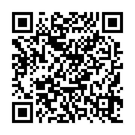 QR code for DZY237