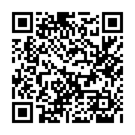 QR code for EMV413
