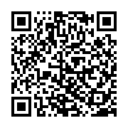 QR code for EPC338