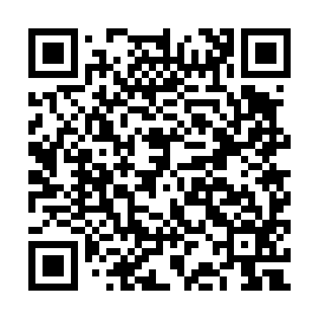 QR code for FBG496