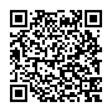 QR code for FEL338