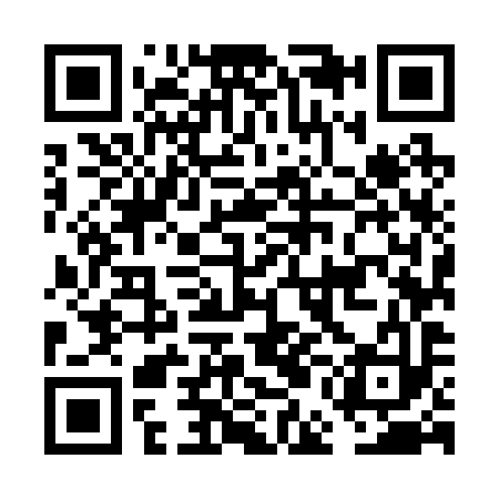QR code for FEM293