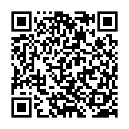 QR code for FFI368