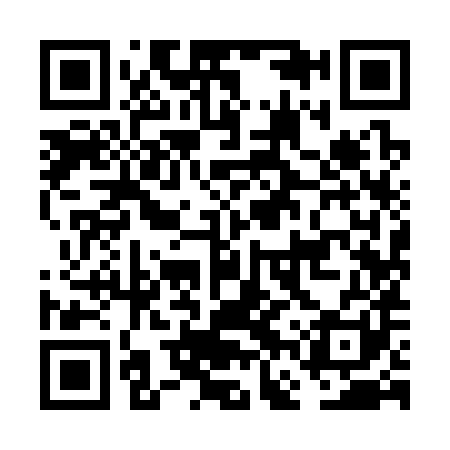 QR code for FFY381