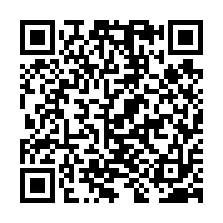 QR code for FIG613