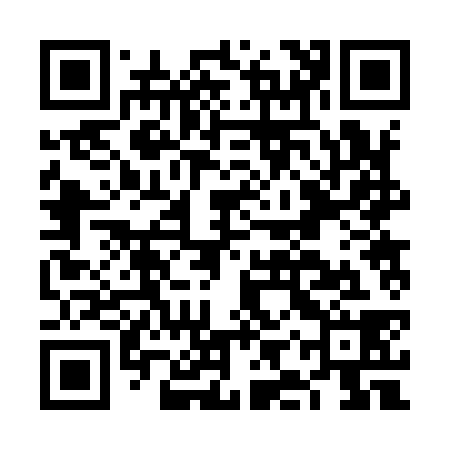 QR code for FIR938