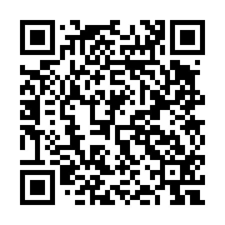QR code for FJS413