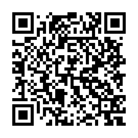 QR code for FJX533