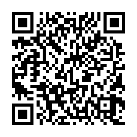 QR code for FLE368