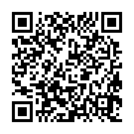 QR code for FLG387