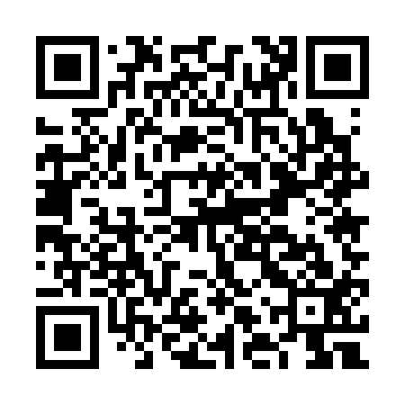 QR code for FLU313