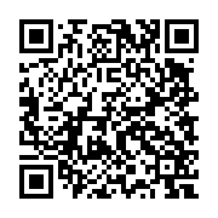 QR code for FPT466