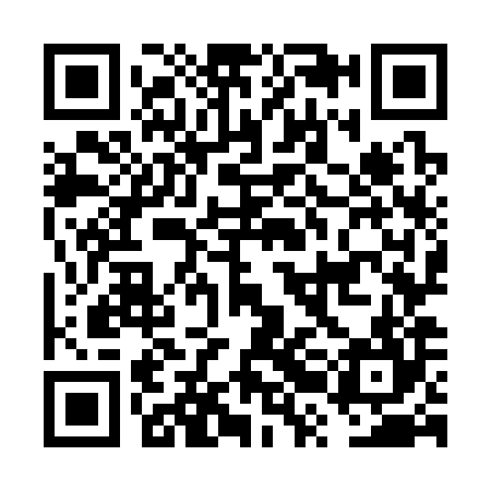 QR code for FRO384