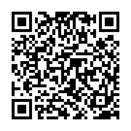 QR code for FUB533