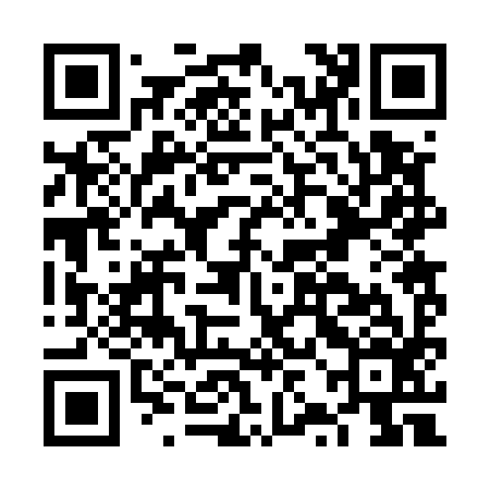 QR code for FZB596