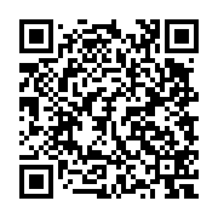 QR code for FZD419