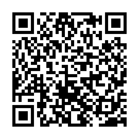 QR code for FZN211