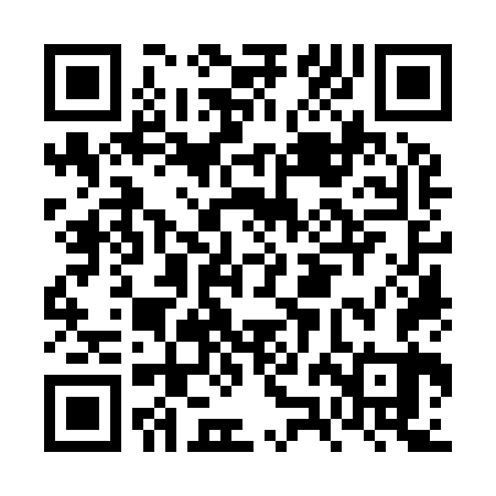 QR code for FZO963