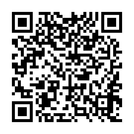 QR code for FZT958