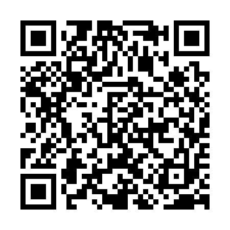 QR code for GAS313