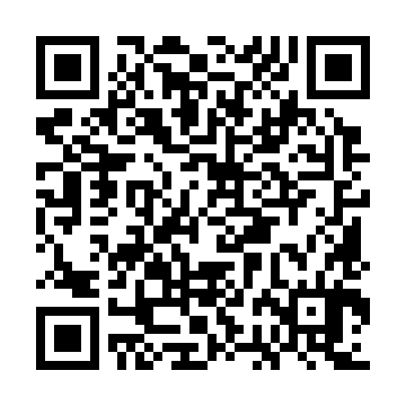 QR code for GBM384
