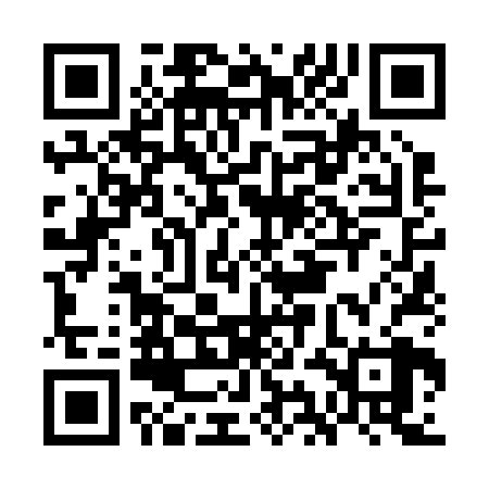 QR code for GIN228