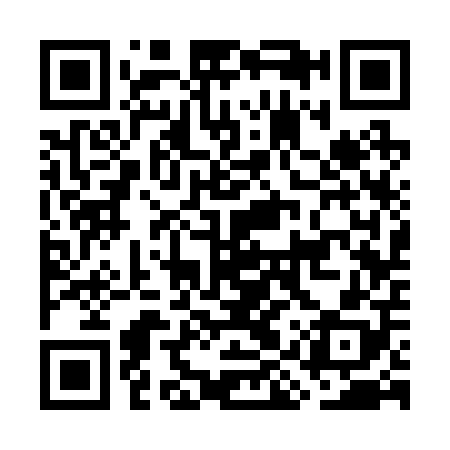 QR code for GIS208