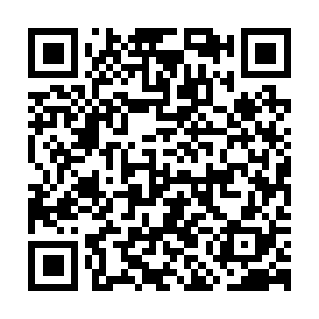QR code for GME228