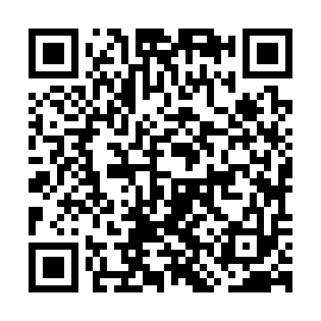 QR code for GNZ313