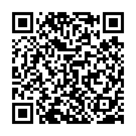 QR code for GOE618