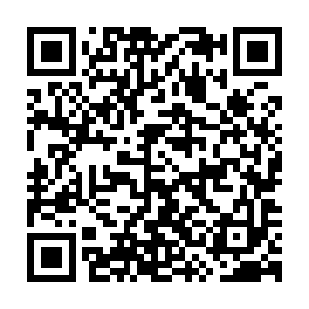 QR code for GSN993