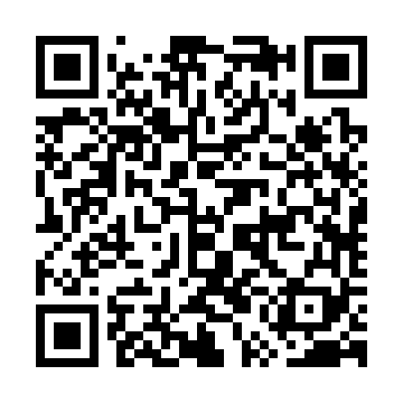 QR code for GUB369